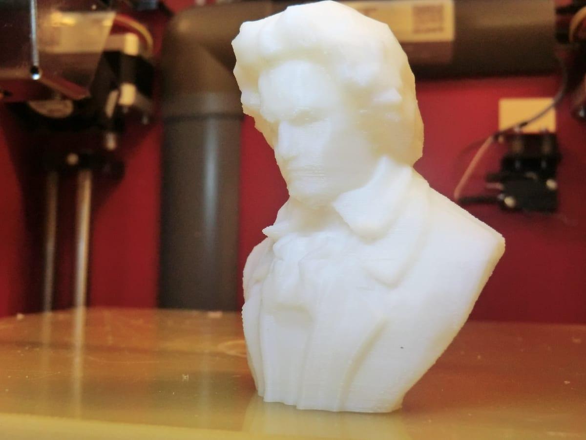 A 3D printed bust with horizontal layer lines visible across the face and hair